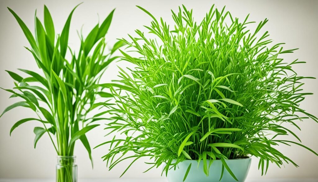 風水元素 風水元素