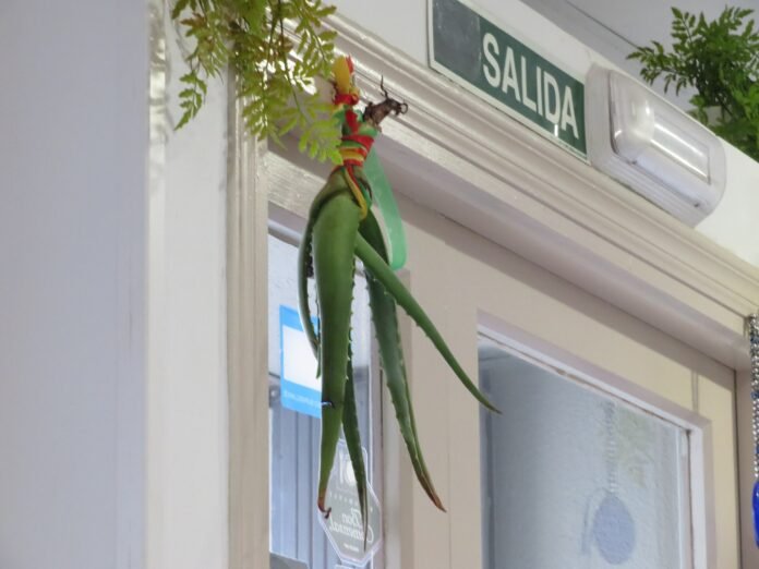 2026風水催財方法推薦2026完整攻略｜命理風水指南