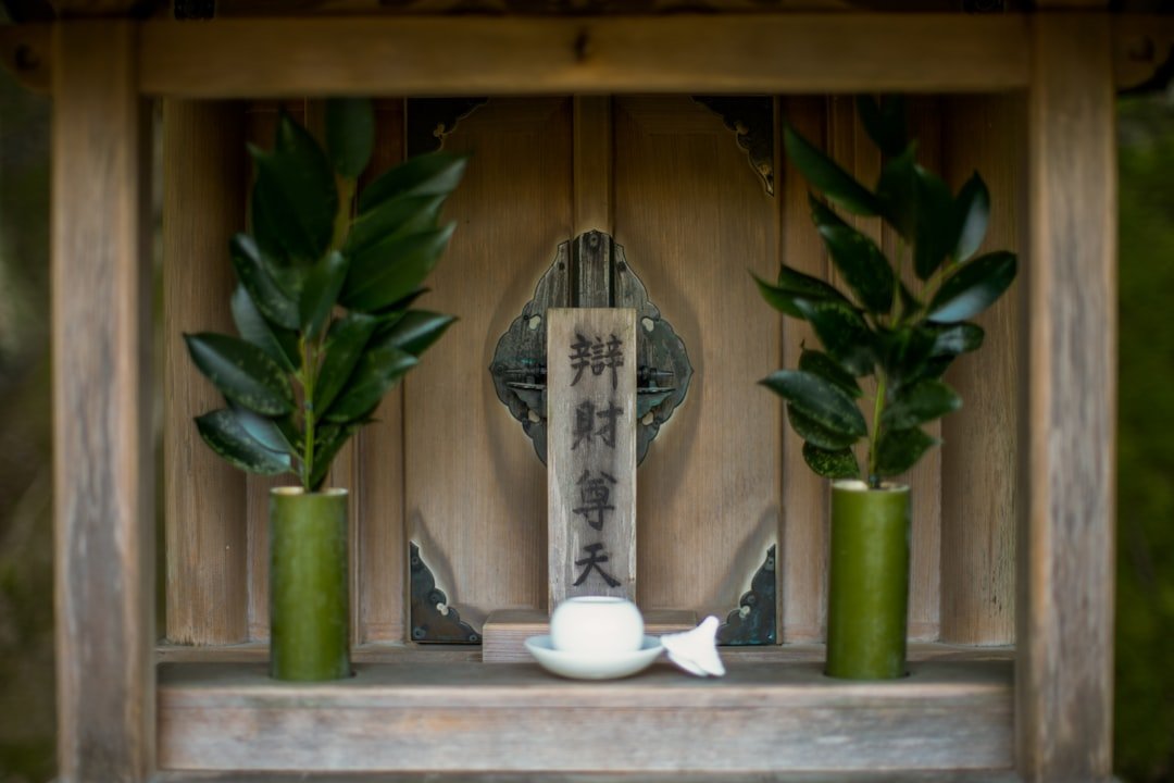 2026風水病位化解方法2026圖片2｜命理攻略