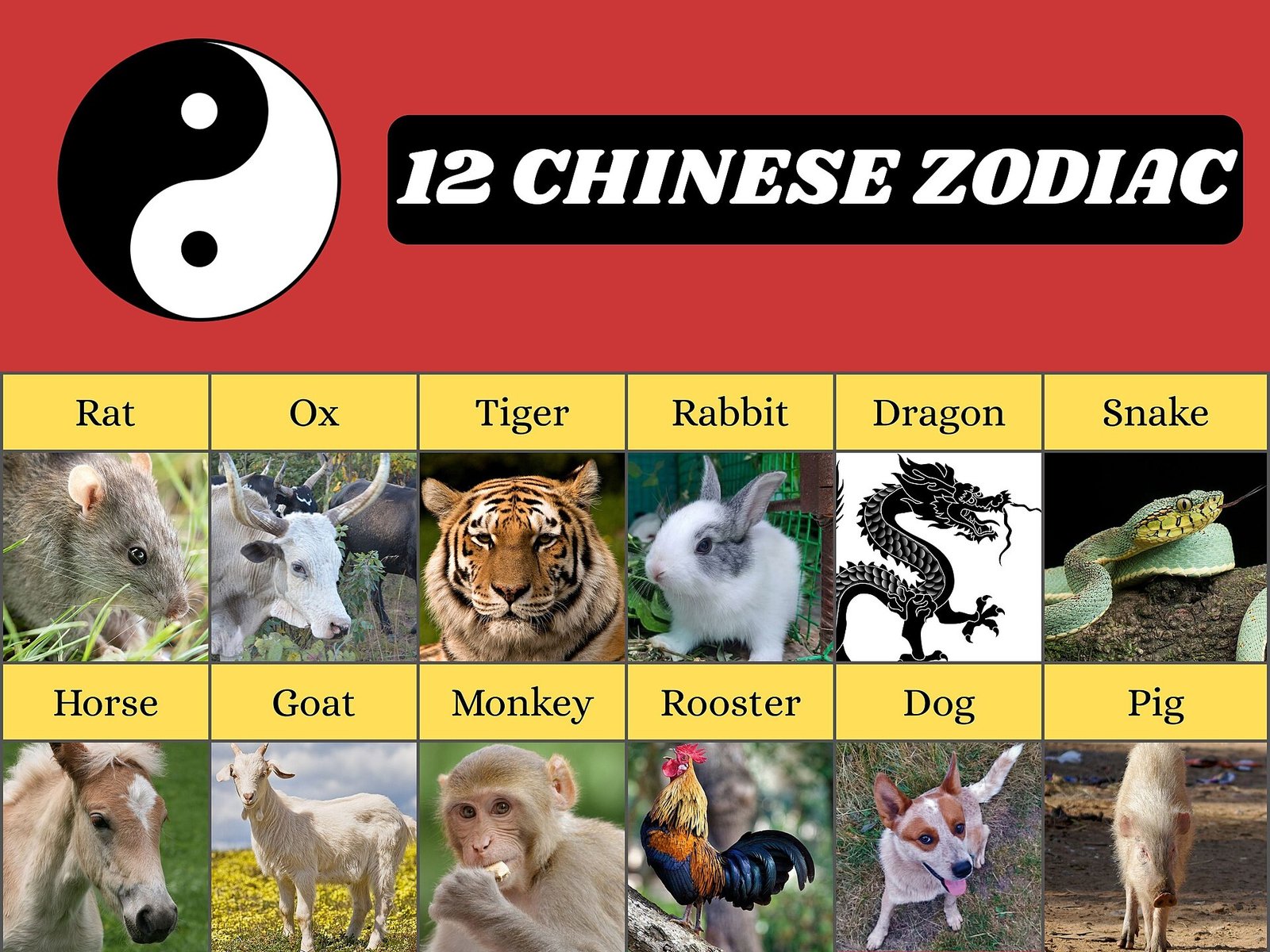 2026犯太歲生肖化解方法2026圖片1｜命理攻略
