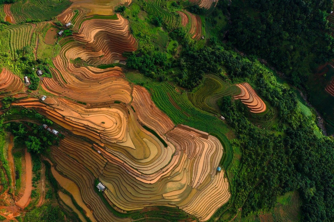 2026生肖投資運排名2026圖片3｜命理攻略