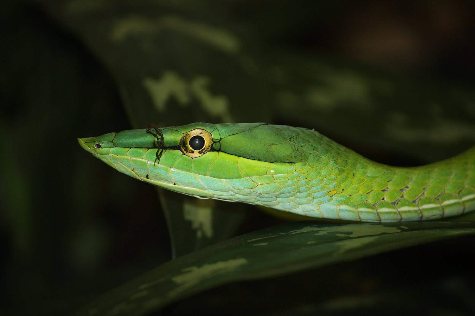 八字線上算命推薦 20262026圖片1｜命理攻略