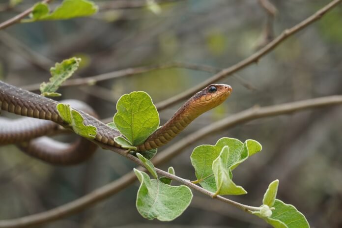 八字看偏財運正財運的正確學法和錯誤學法，看完少走3年2026圖片1｜命理指南