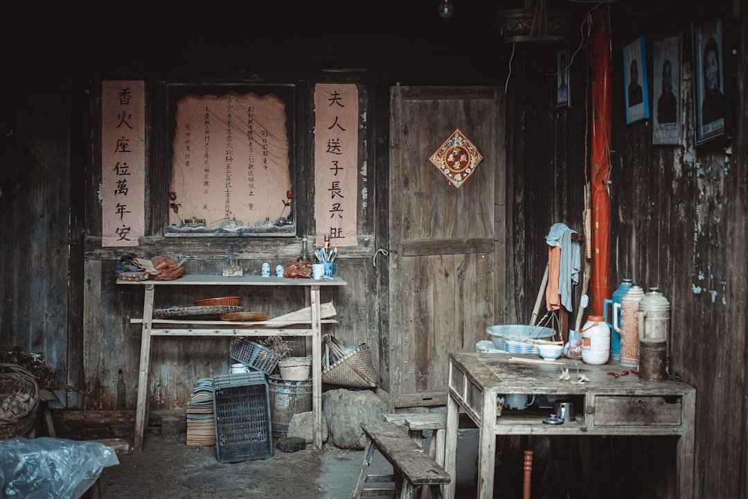 風水植物推薦 2026 招財2026圖片2｜命理攻略