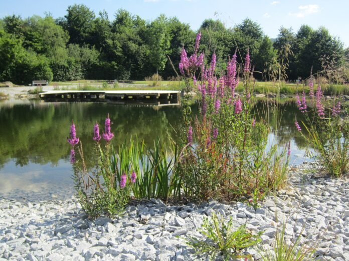 買房風水樓層選擇教學2026完整攻略｜命理風水指南