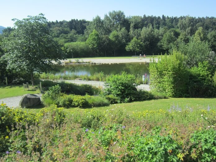 買房風水注意事項完整版2026完整攻略｜命理風水指南