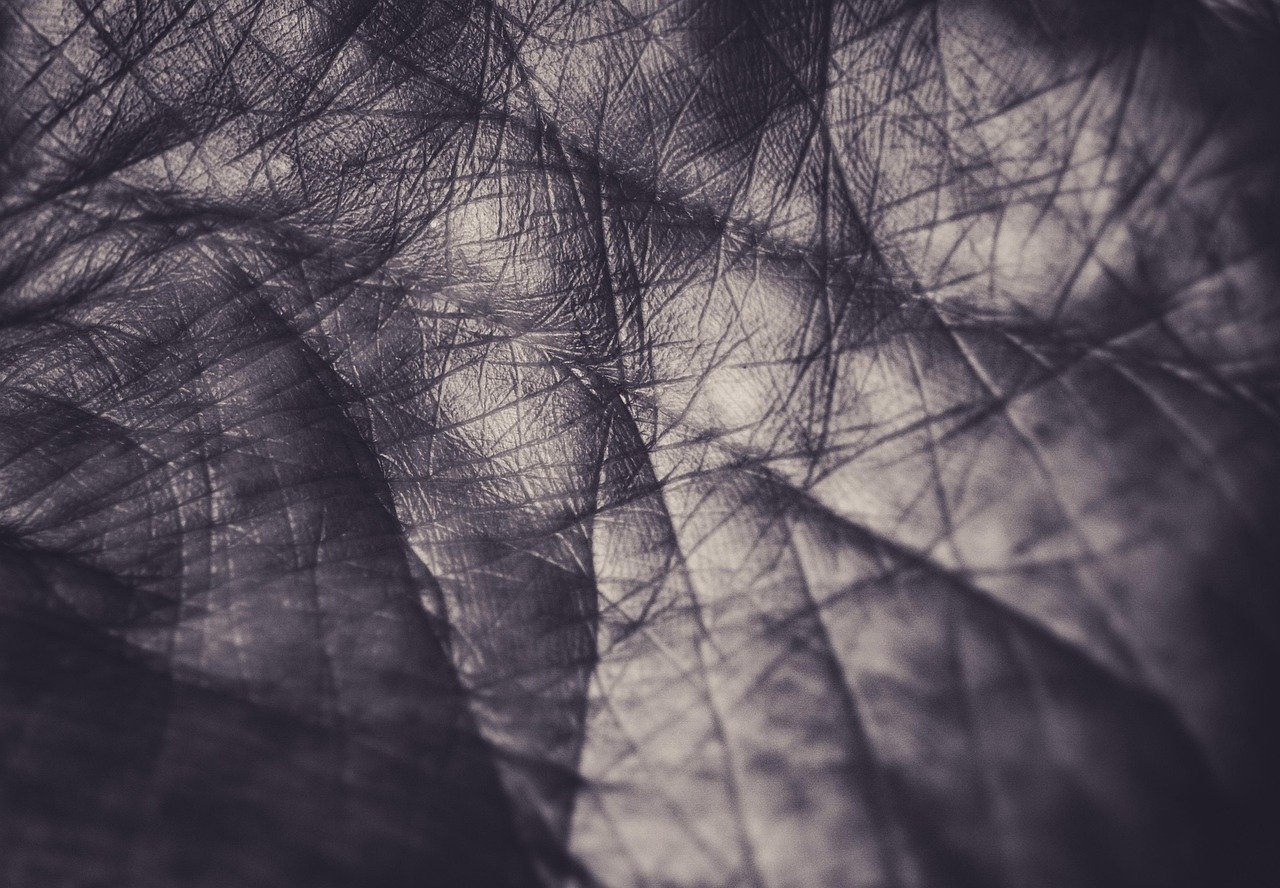 手相看財運教學2026圖片3｜命理攻略