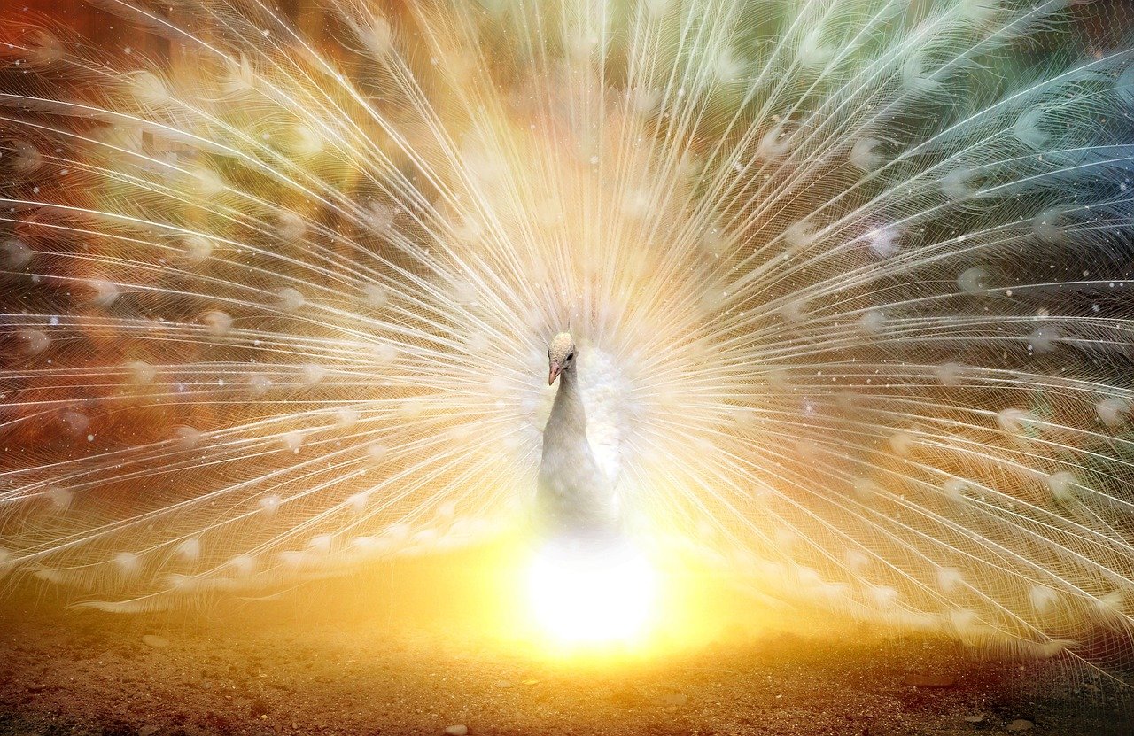 看房風水怎麼看 教學2026圖片3｜命理攻略