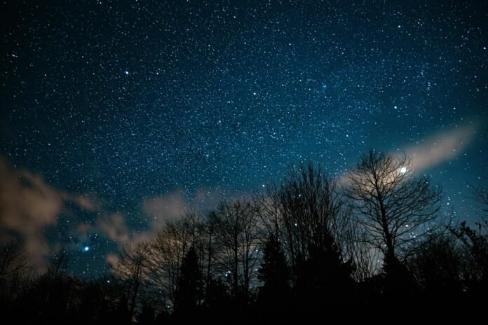 紫微斗數看適合的對象類型2026完整攻略｜命理風水指南