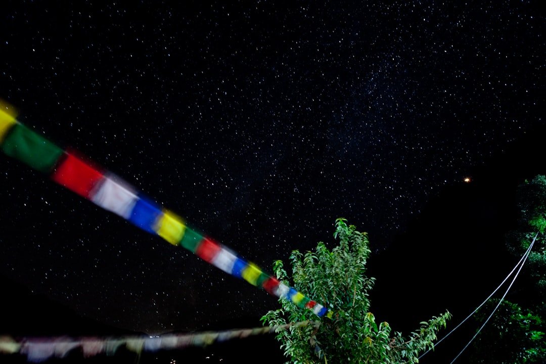 紫微斗數看何時脫單2026圖片2｜命理攻略