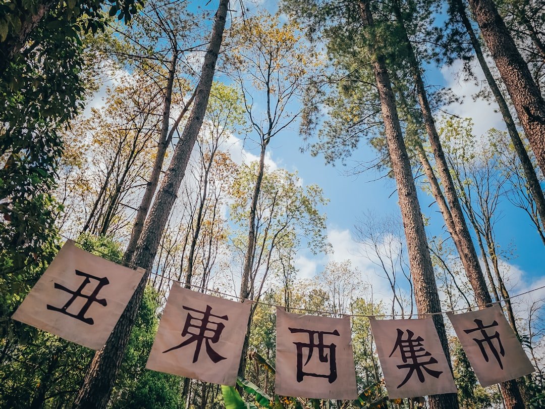 八字算命費用多少錢2026圖片3｜命理攻略