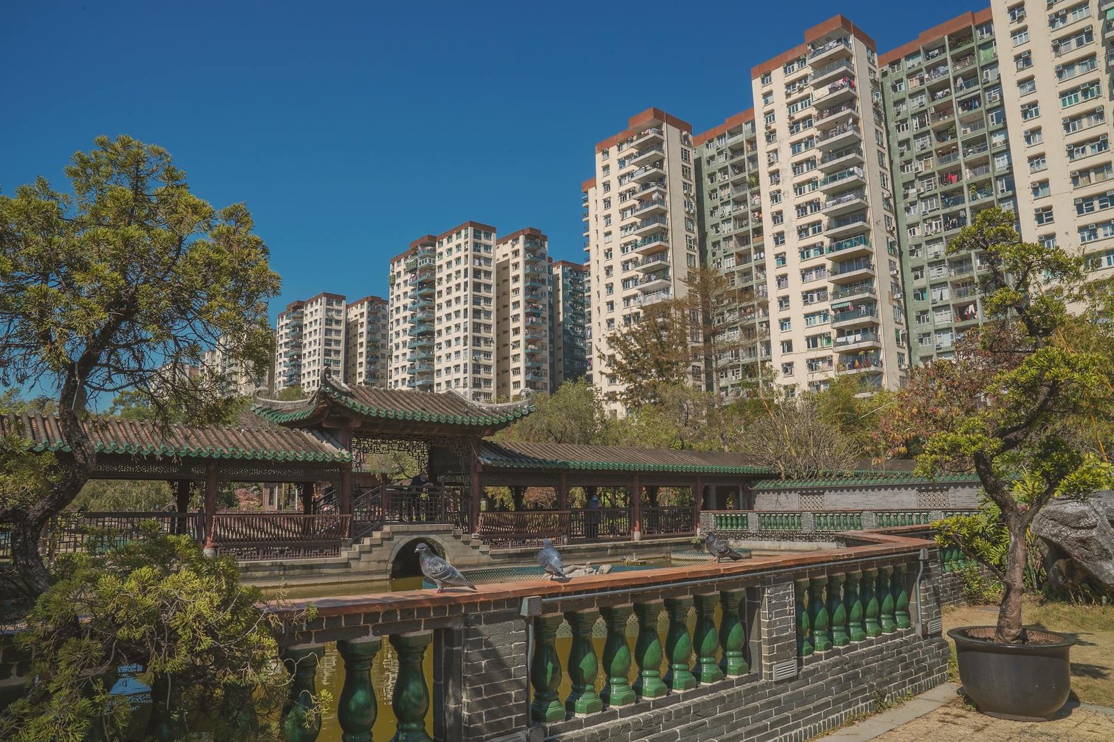 買房風水香港注意事項2026圖片3｜命理攻略