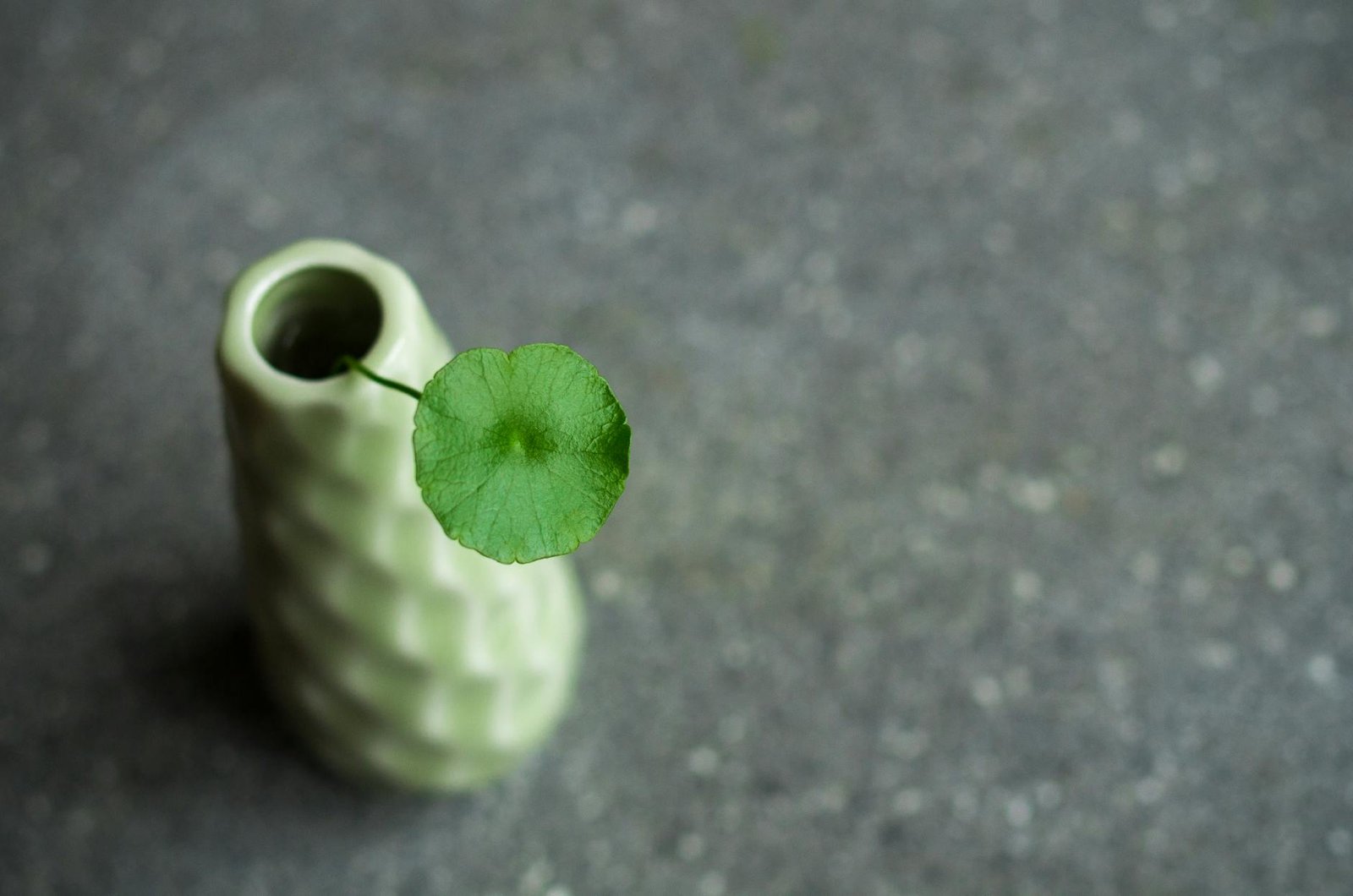 辦公室風水座位方向教學2026圖片1｜命理攻略