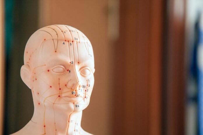 面相學課程推薦 2026 香港2026|奇門玄學 面相學課程推薦 2026 香港2026完整攻略|命理風水指南