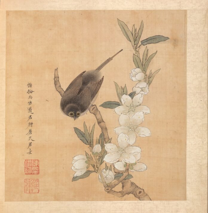 面相看感情桃花運2026|奇門玄學 面相看感情桃花運2026完整攻略|命理風水指南