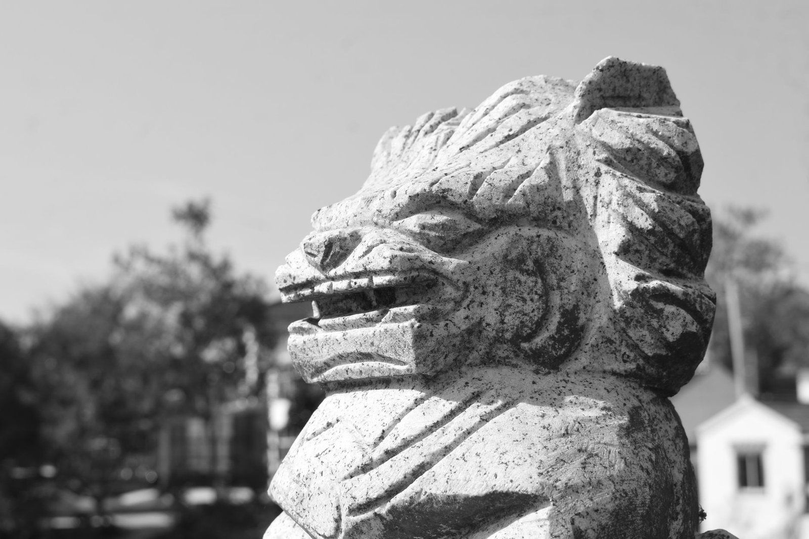 土地公擺放風水教學2026圖片1｜命理攻略