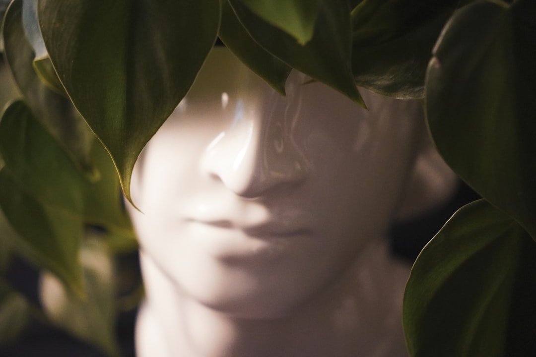 辦公室風水植物推薦2026圖片2|命理攻略