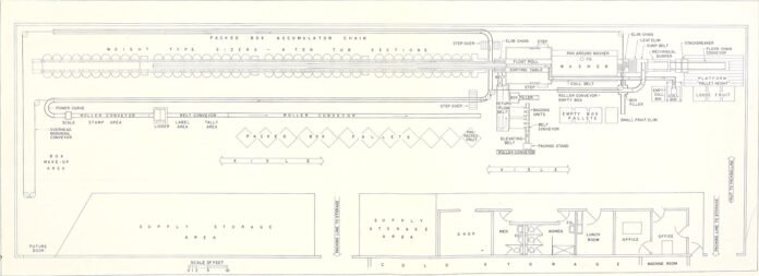小坪數風水佈局教學2026完整攻略｜命理風水指南